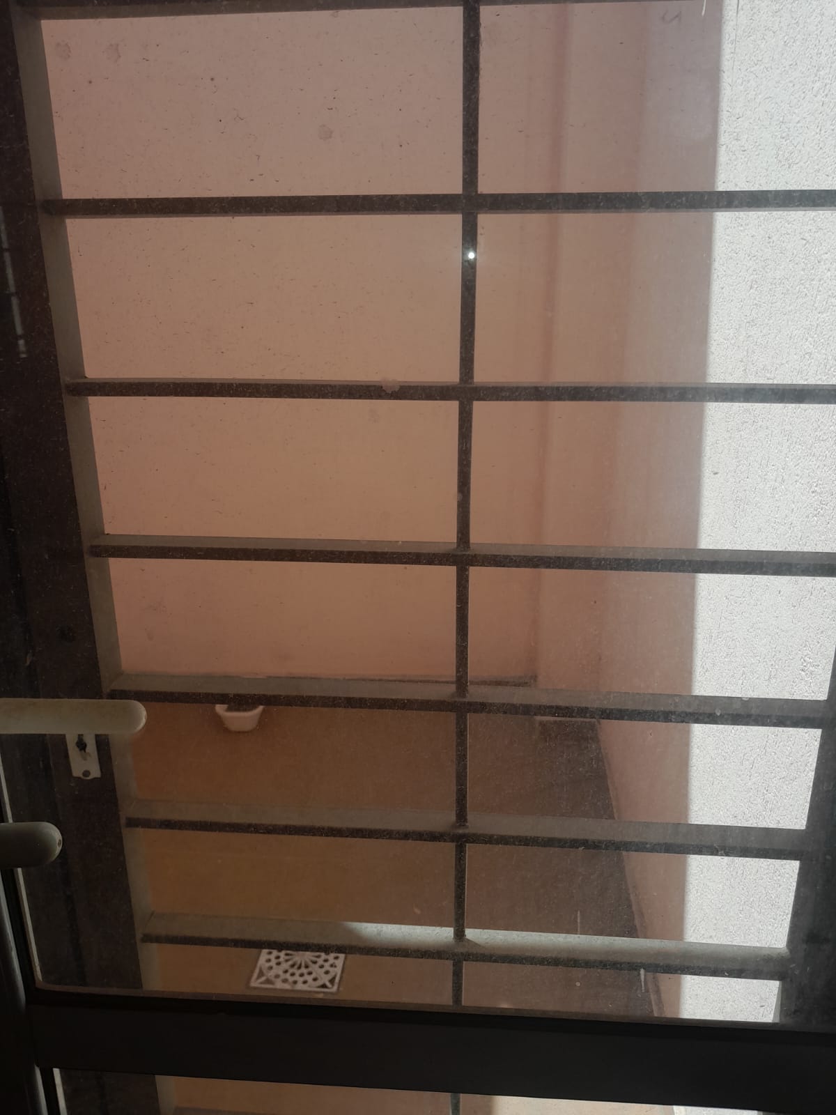 WhatsApp Image 2025-10-16 at 14.10.51 (1)