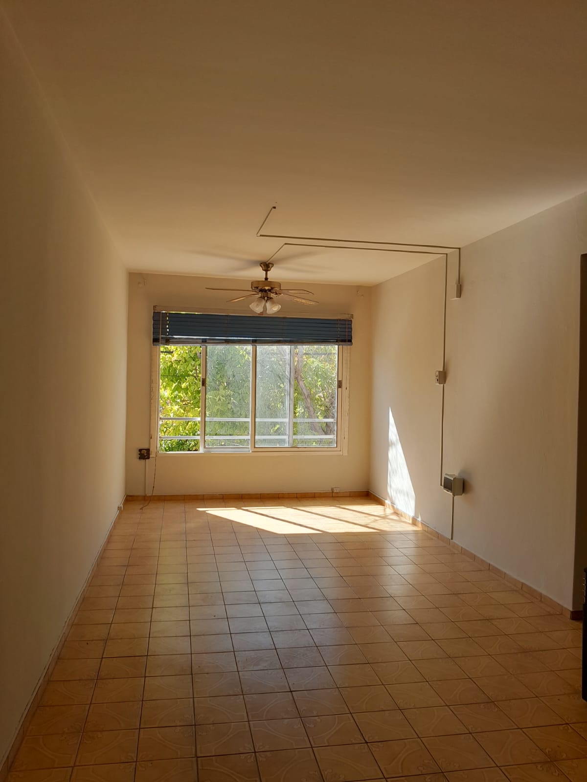 WhatsApp Image 2025-10-16 at 14.13.52 (1)