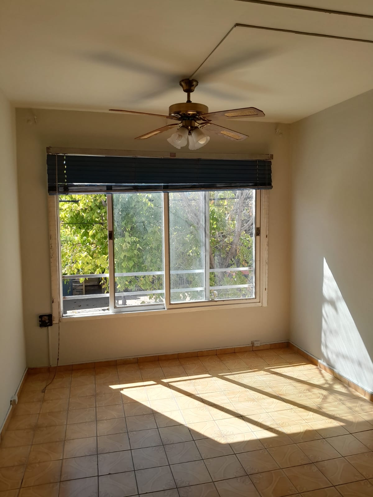 WhatsApp Image 2025-10-16 at 14.13.52