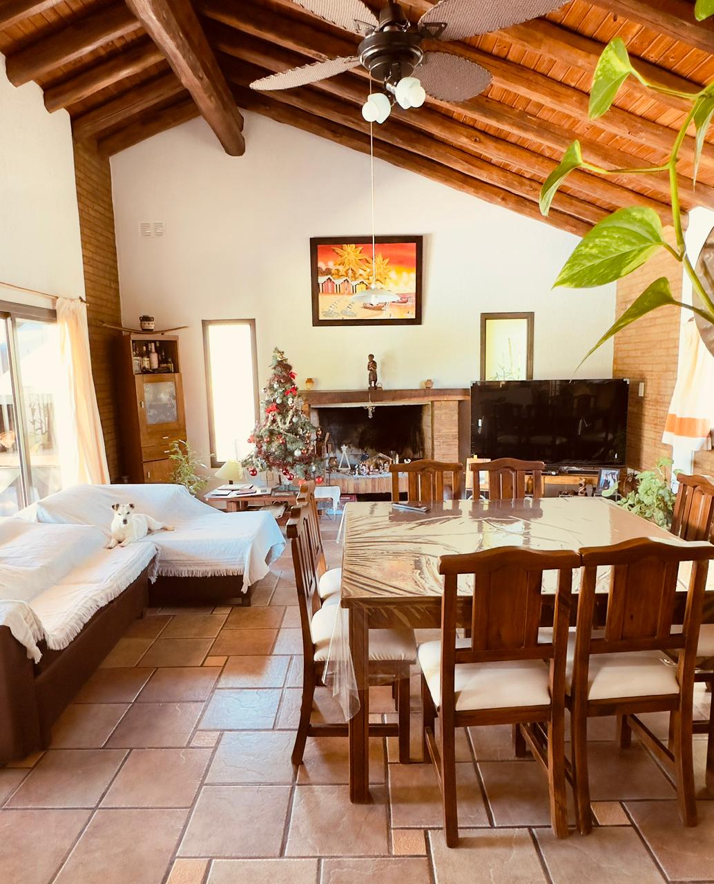 WhatsApp Image 2026-01-27 at 16.41.23 (1)