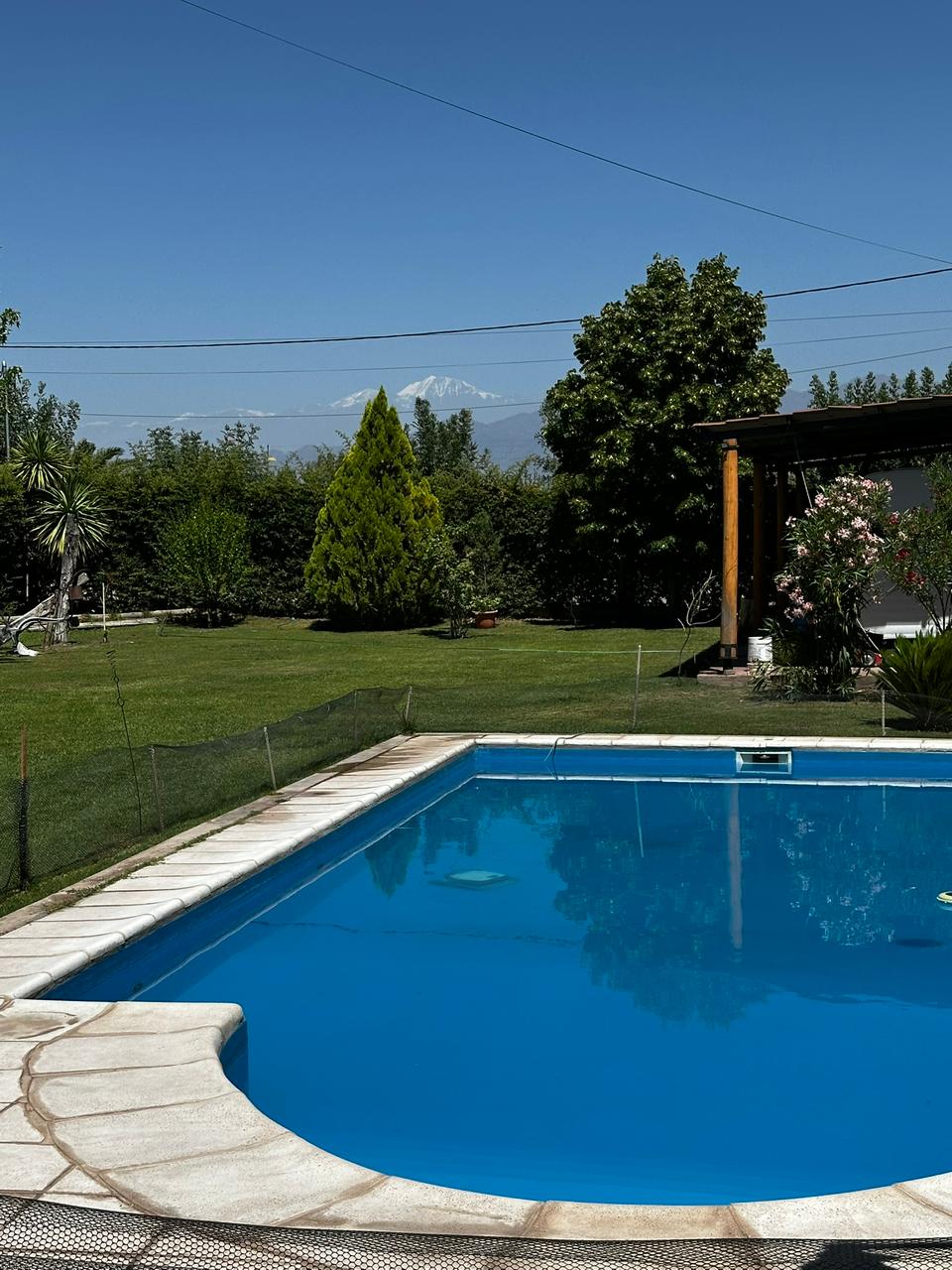 WhatsApp Image 2026-01-27 at 16.41.25 (1)