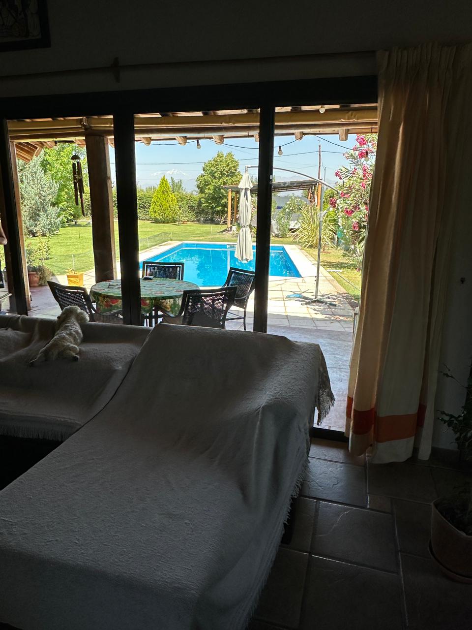 WhatsApp Image 2026-01-27 at 16.41.25